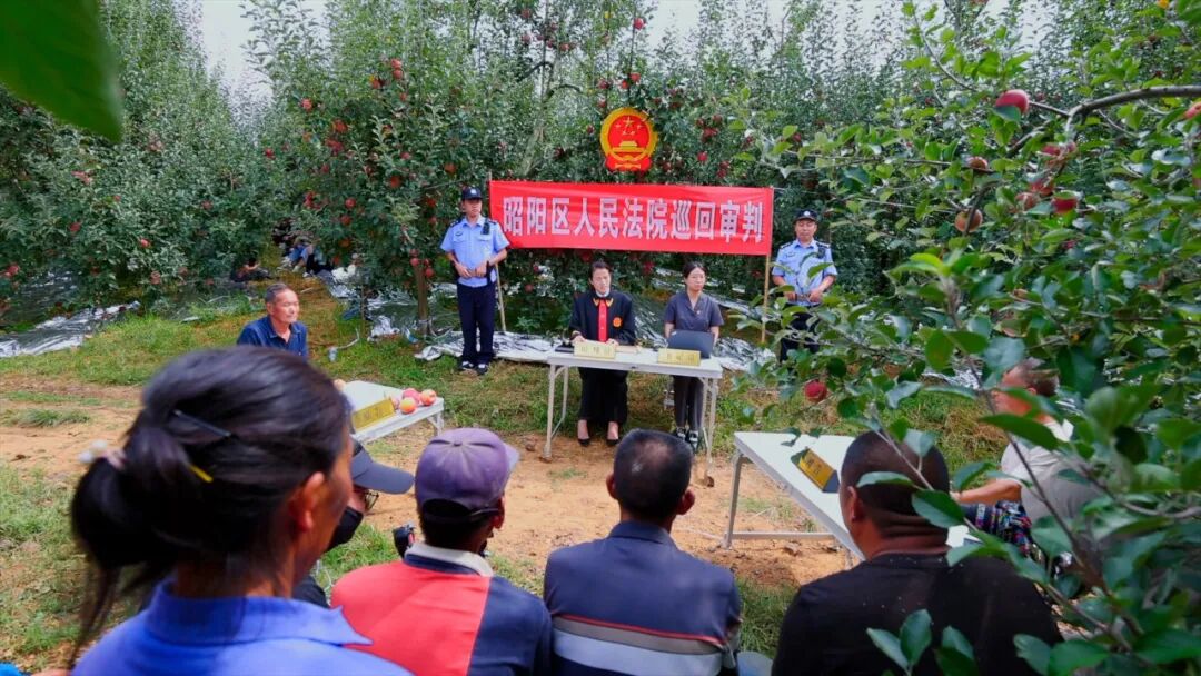 “司法守护”直播为“云南生活”增添异彩